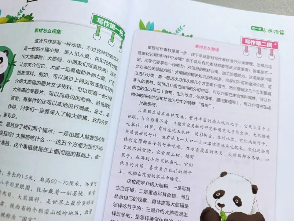 干货分享（大熊猫作文350字左右）大熊猫作文350字三年级下册,免费 第21张