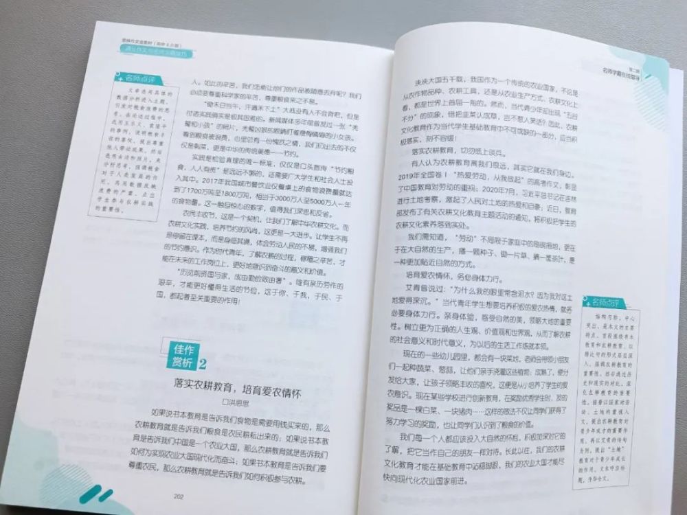 干货分享（大熊猫作文350字左右）大熊猫作文350字三年级下册,免费 第34张