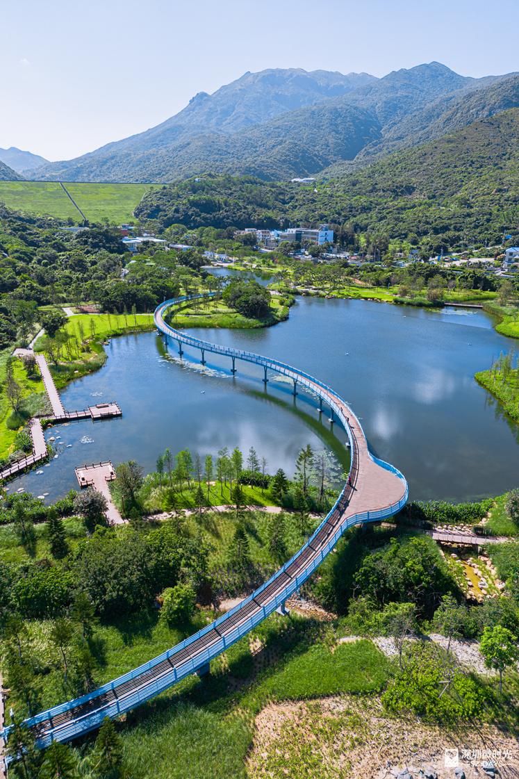 深圳公园有上千其中有一个却如此美丽不仅坐拥深圳最大的红树湿地还