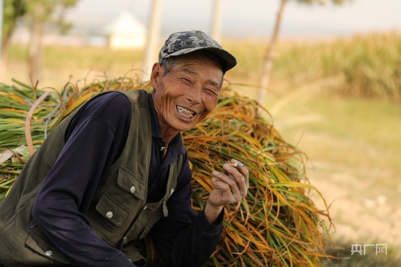 最美笑脸照片故事图片