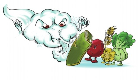 低温阴雨接二连三26日夜间27日受暖湿气流和冷空气影响我省大部有雨雪