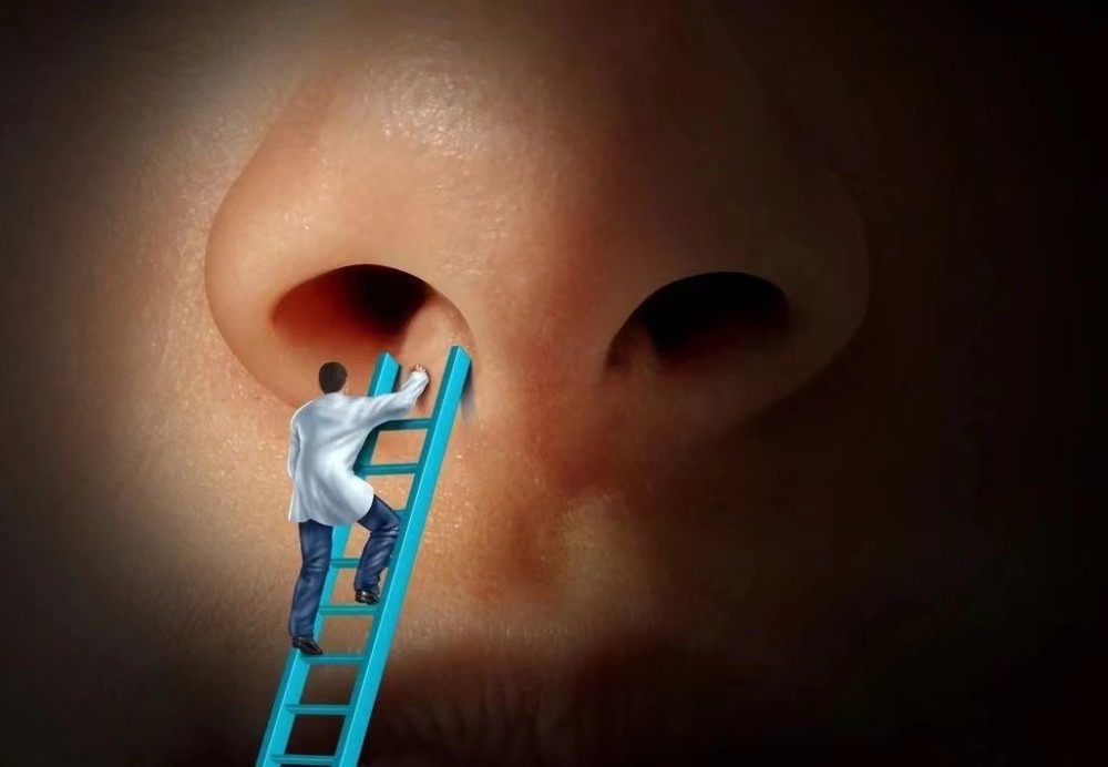 "嗅觉失灵"的关键机制找到了!专家教你如何改善不适症状_腾讯新闻