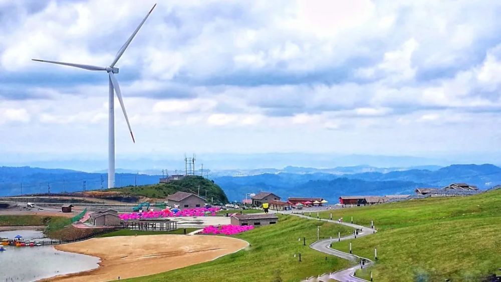乡游黔中·龙里县 谷脚镇|刺梨满山坡,野山菌飘香_腾讯新闻