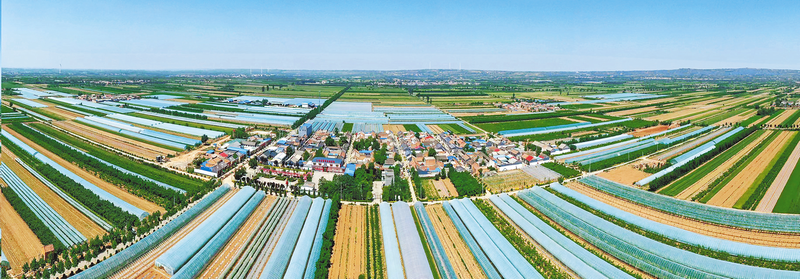 合阳县路井镇 多措并举促提升 乡村振兴结硕果_腾讯新闻