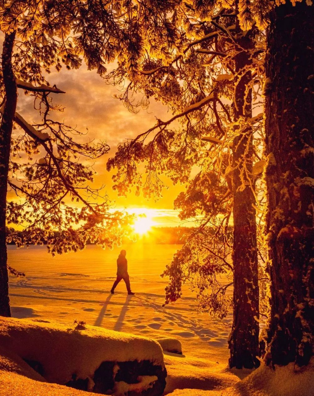 风雪过后,阳光再现!插图9