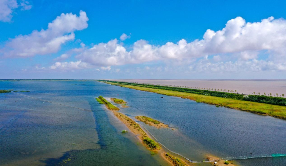 海洋,湿地,森林,蓝天,碧水,净土,近年来,盐城矢志不渝走生态优先,绿色