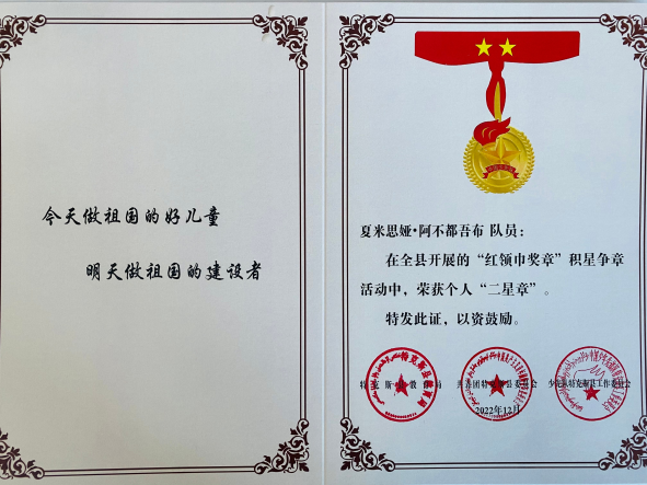 星星火炬引领成长特克斯县举行红领巾奖章二星章颁章仪式
