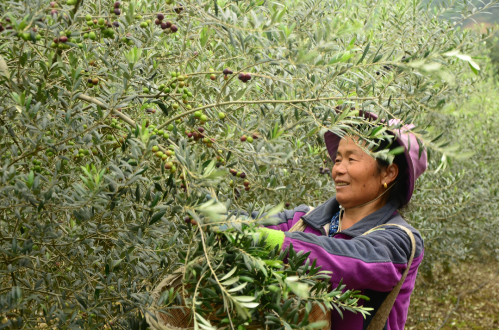 凉山冕宁县委书记马小宁:动车时代冕宁将做好三篇文章,跻身凉山"第一