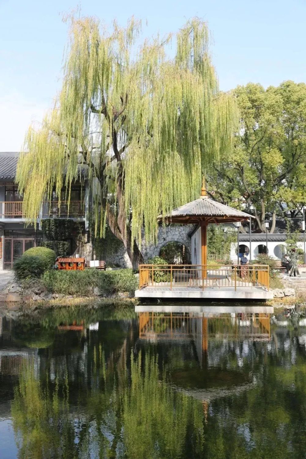 遇见徐汇丨冬日游园之东安公园,诗情画意古色古香～_腾讯新闻