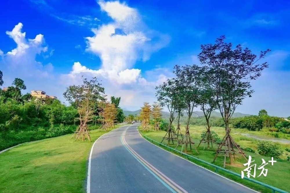 信宜六剂社会治理良方助力高质量发展