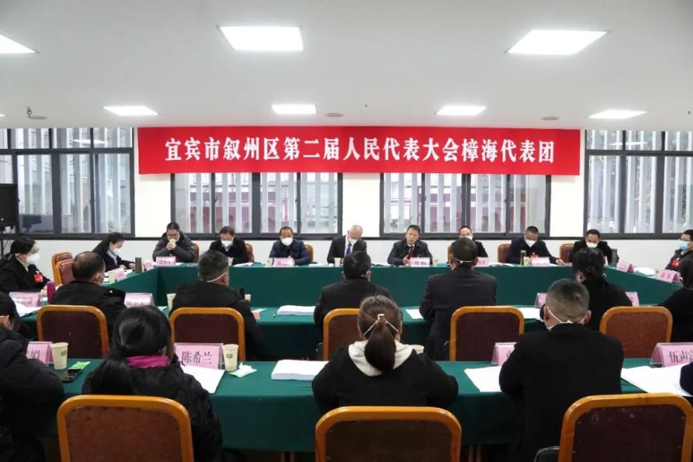 聚焦叙州区两会雷涛瞿进刘畅参加宜宾市叙州区第二届人民代表大会第二