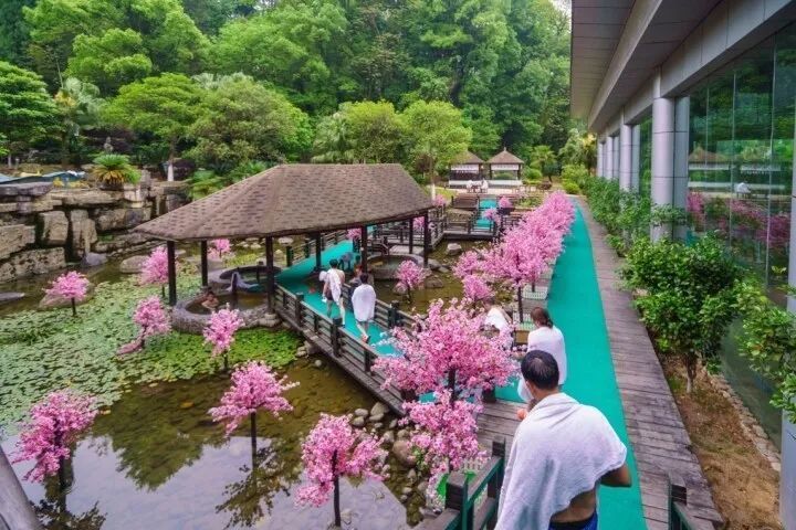 大连龙门汤森林公园_大连龙门汤温泉度假村_大连龙门汤温泉
