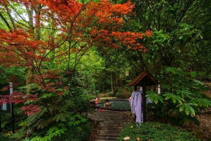 大连龙门汤温泉度假村_大连龙门汤森林公园_大连龙门汤温泉