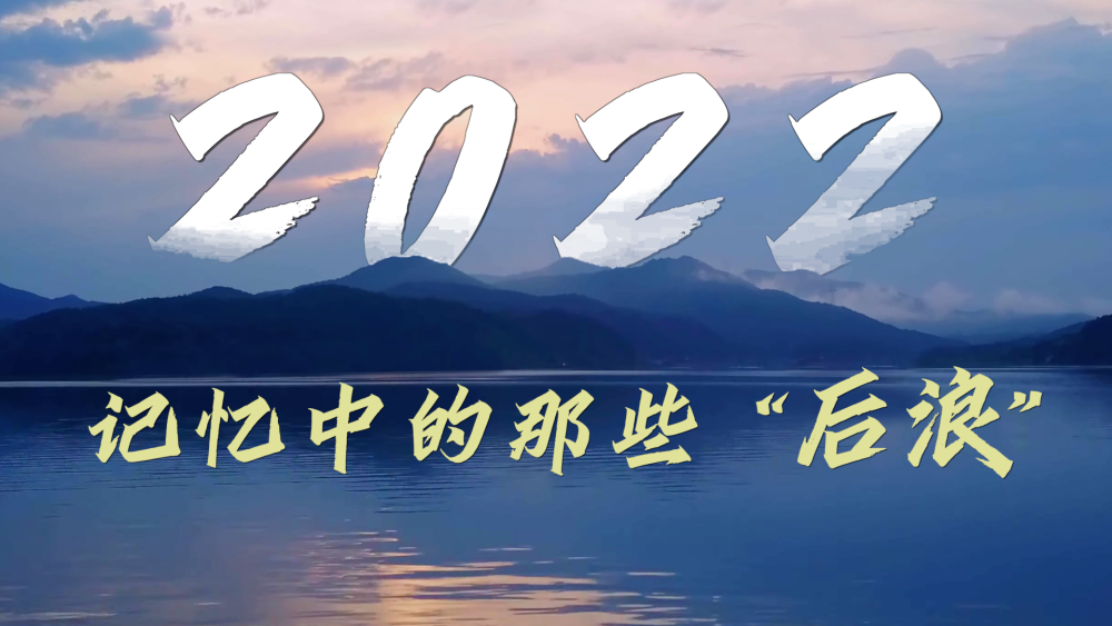 回眸2022｜记忆中的那些“后浪”末代皇帝乌龟汤2022已更新(新华网/知乎)