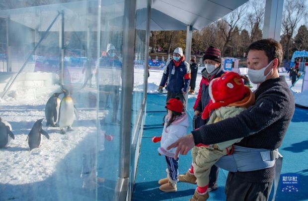 北京公园开启冰雪游园会活动27的英文怎么写2022已更新(知乎/今日)