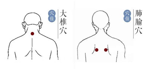 天突,膻中,肺腧,大椎图片