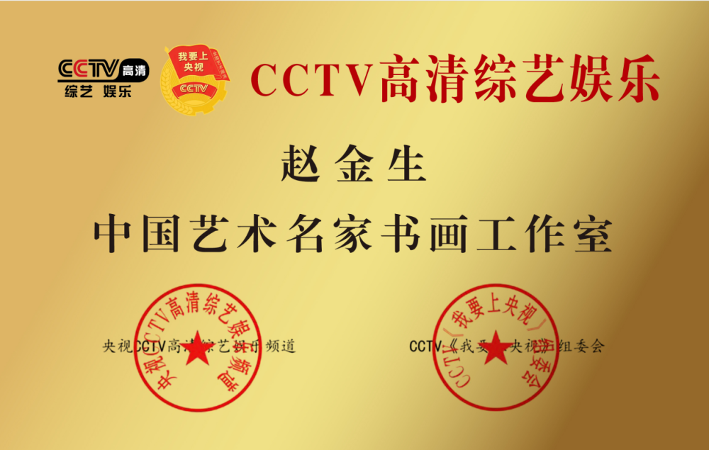 cctv央视高清综艺娱乐频道栏目组客座教授赵金生