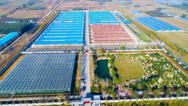 费县上冶镇深耕数字农业特色富民产业全面起势