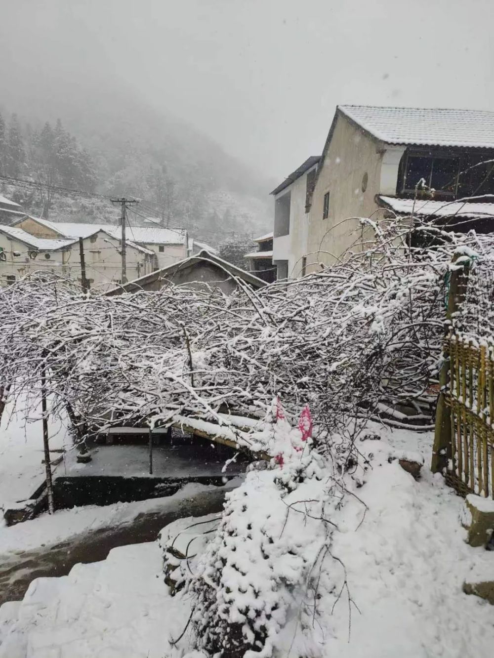 义乌上溪大草坪下雪图片