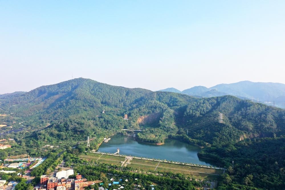 【林距离之组织防线篇】南城:林长巡林履职,强化"细"整改,更好护林