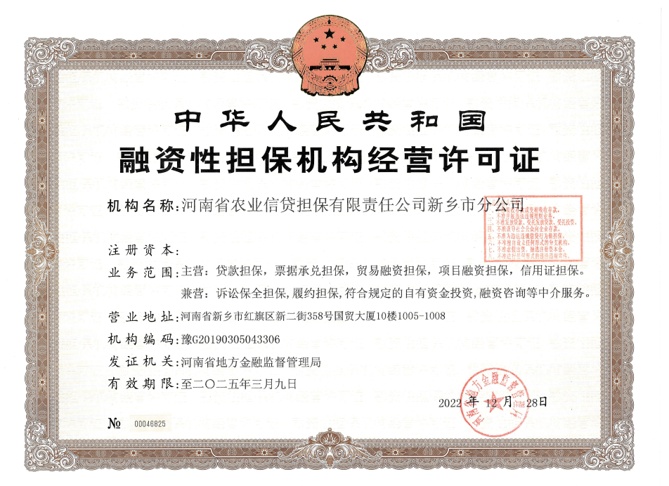 河南融资咨询