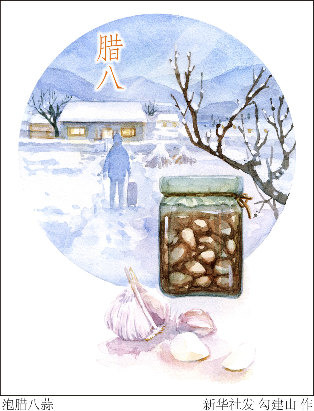 (图表·插画)[腊八]泡腊八蒜