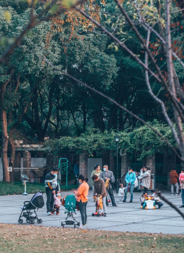 上海新晋网红公园,景色备受摄影师青睐,昔日门票50元现在免费开放