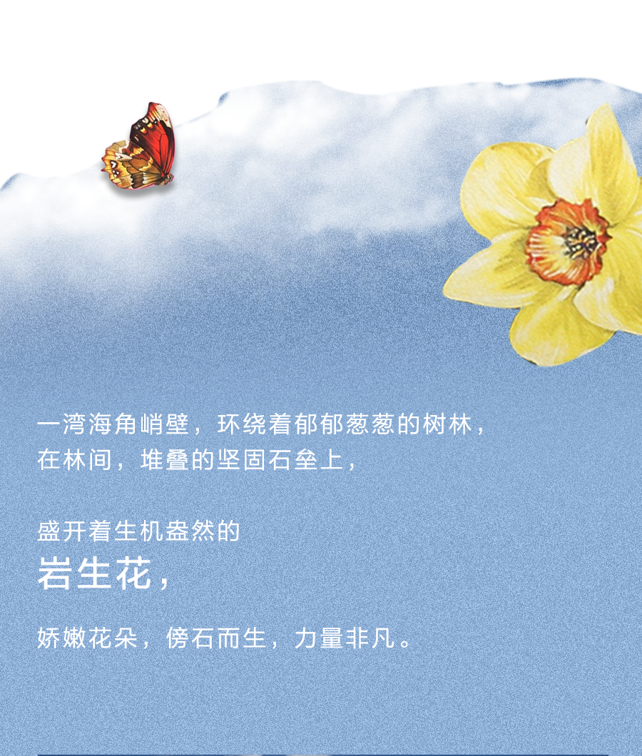 岩花瑞兔，春日来信中国南方航空值机2022已更新(腾讯/哔哩哔哩)