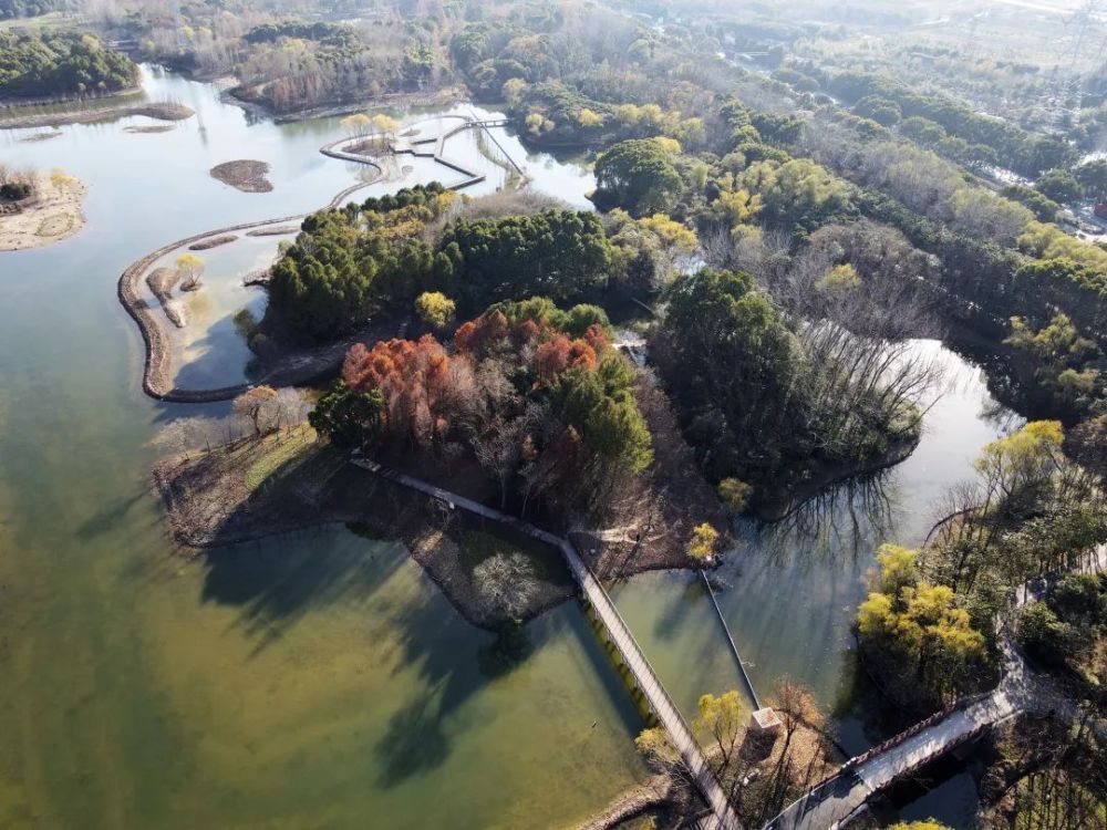 升級改造完成金海溼地公園重新開門迎客