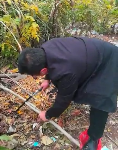 图片关键词