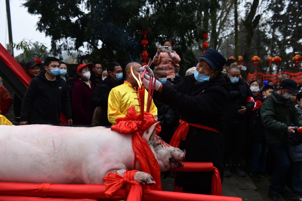 成都蒲江:箭塔"年猪祭"带你提前感受年味_腾讯新闻