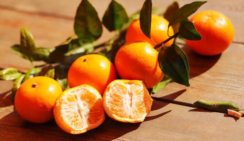 广州从化玫瑰柑上市,不少市民游客到种植基地采摘_腾讯新闻