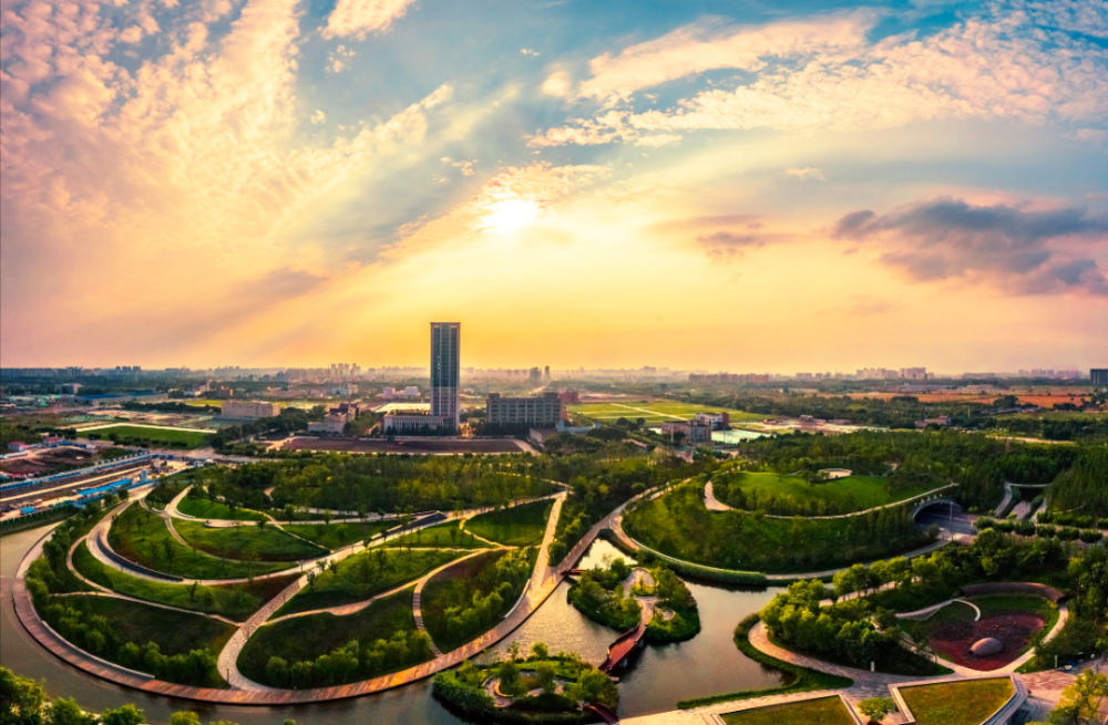 鸟类栖居,草木旺盛……桃浦智创城生态环境持续向好!
