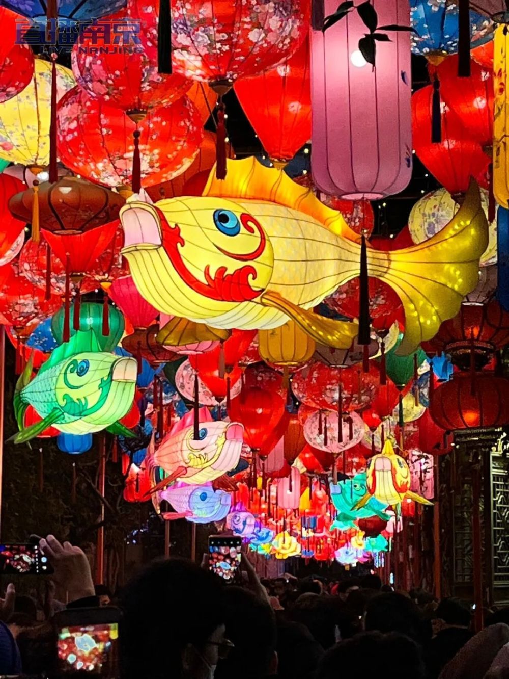 先睹为快!秦淮灯彩"盛装打扮"喜迎新春_腾讯新闻