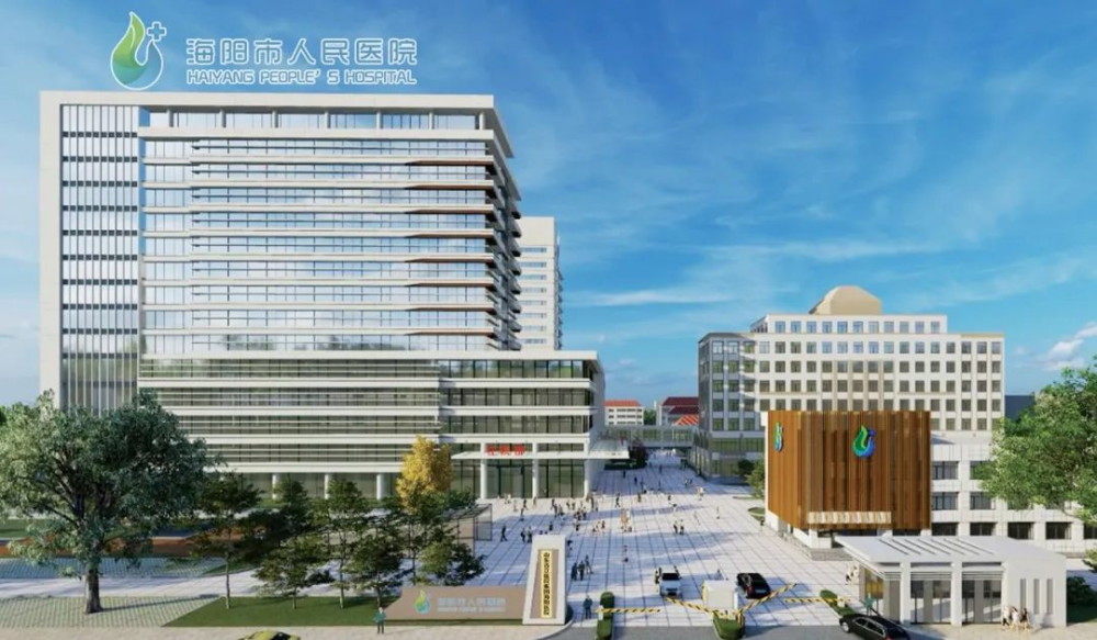 烟台市首家"市政综合服务中心"在海阳正式组建运行"一件事"集成服务