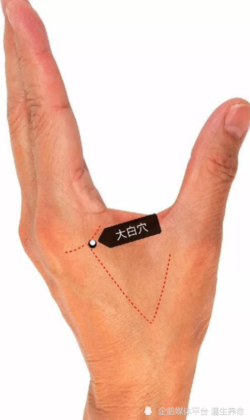 大白穴位于手背侧第二掌指关节桡侧缘近端凹陷处,取穴时应握拳.