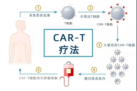 car-t图片