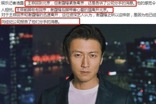 王菲谢霆锋分手后状态截然不同心情愉悦王菲却在深夜哭泣