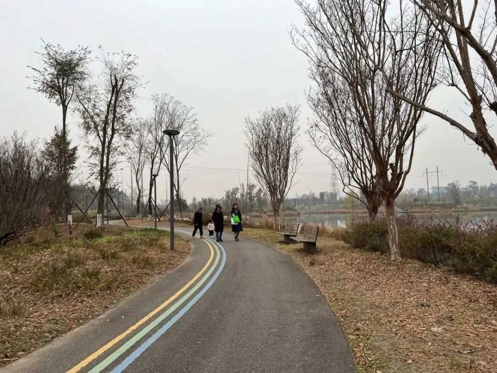 8公里,東風渠在此蜿蜒而過.公園中,建設有一級綠道4公里,二級綠道11.