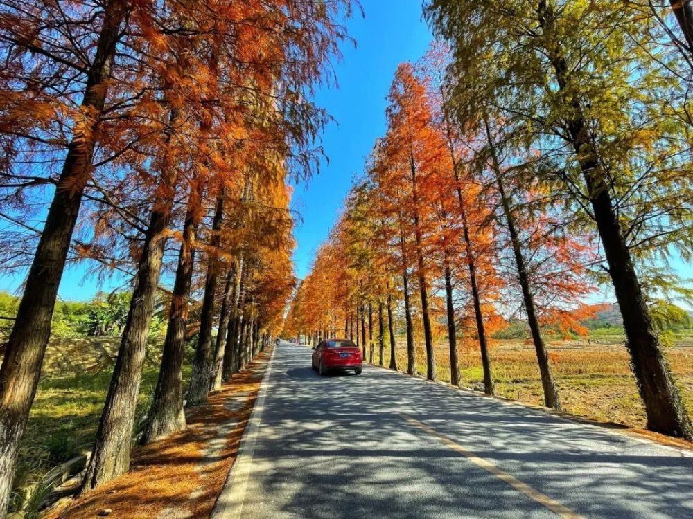 乐昌醉美公路惊艳冬季