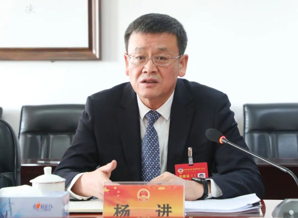 杨进参加乌海市第十届人民代表大会第二次会议乌达代表团审议