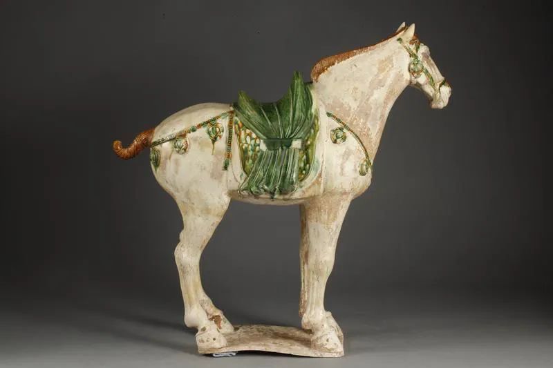 深圳文脉影像志│唐三彩白马想象马背后的那个帝国