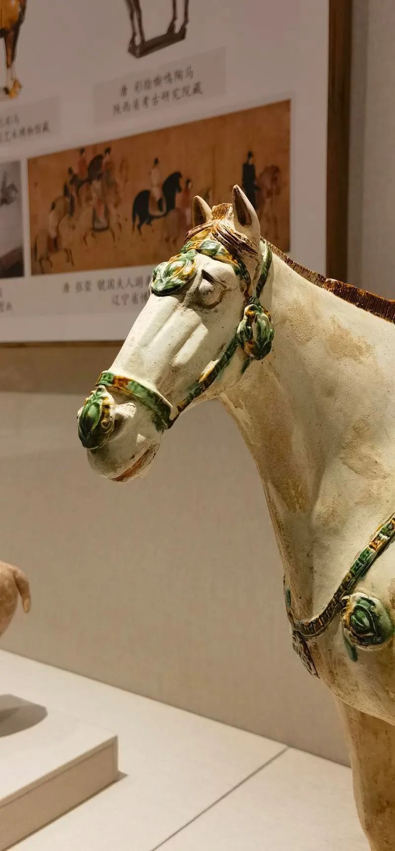 深圳文脉影像志│唐三彩白马想象马背后的那个帝国