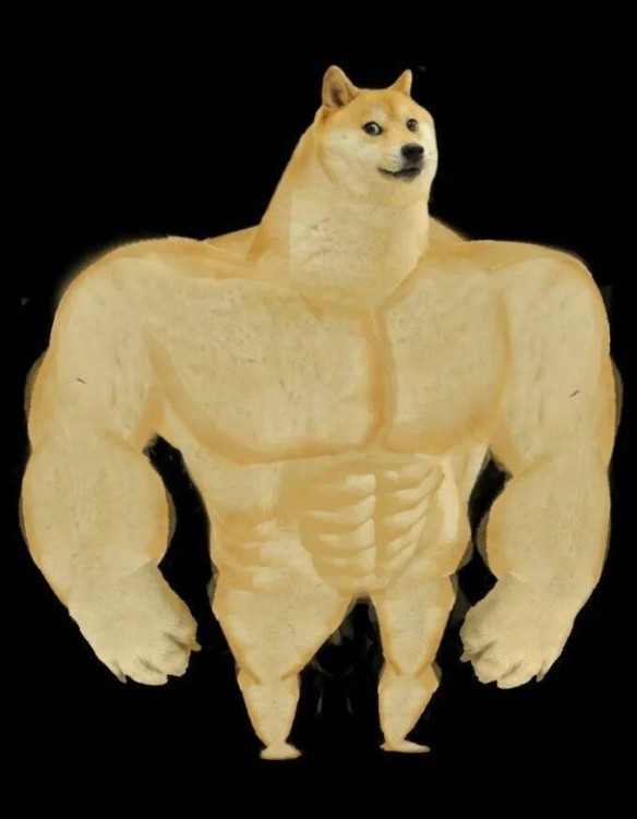 表情包里六块腹肌的神烦犬也有不再勇猛的那天