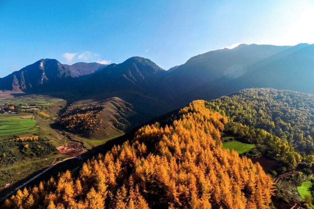 临洮南屏山景区成功创建国家4a级旅游景区