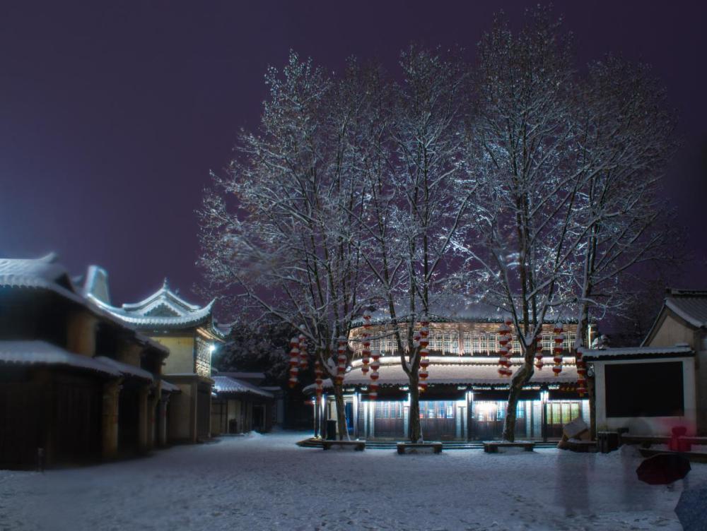 梅花冬雪夜景图片图片