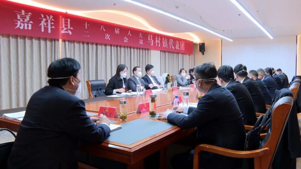 聚焦两会丨宫磊参加马村镇代表团审议讨论