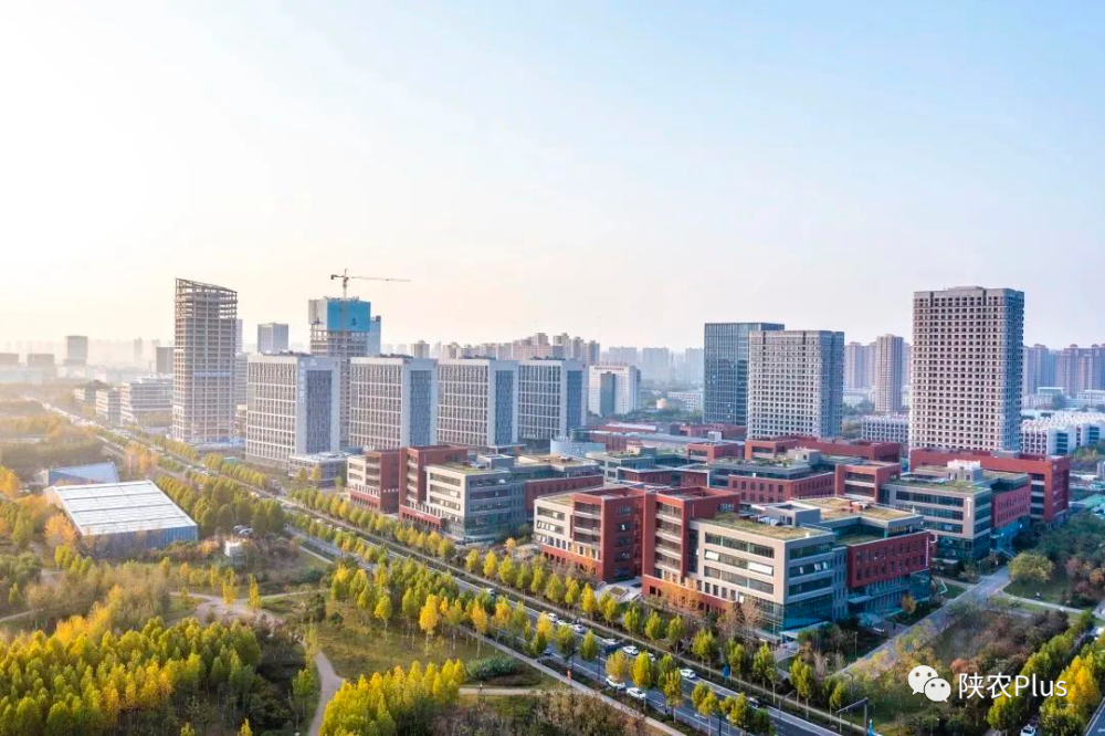 沣西新城西部云谷科技园区华丽转身创新社区