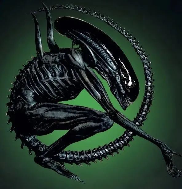 异形与人类之间,哪个物种更优越?