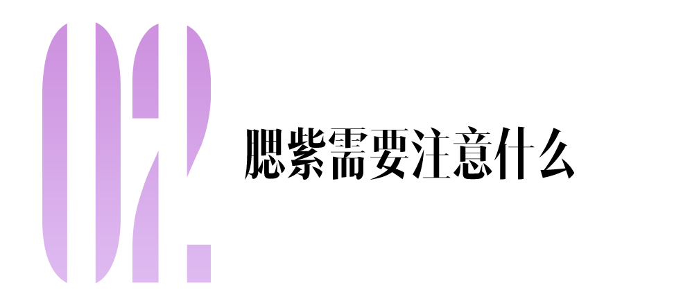 美人计｜仙女之所以仙，“腮紫”有一份功劳美华国际英语2023已更新(今日/哔哩哔哩)